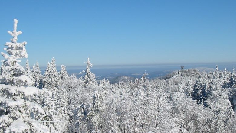 Winter im Naturpark , © Naturpark Hohe Wand 