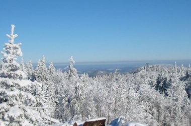 Winter im Naturpark , © Naturpark Hohe Wand 