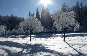 Wanderung Winter, © Naturpark Hohe Wand 