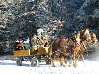 Kinderadvent Fahrt mit der Pferdekutsche, © Naturpark Hohe Wand