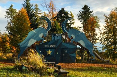 Steinbock Kino Herbst, © Naturpark Hohe Wand 