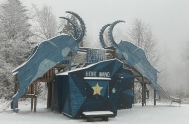 Winterliches Steinbock Kino, © Naturpark Hohe Wand 