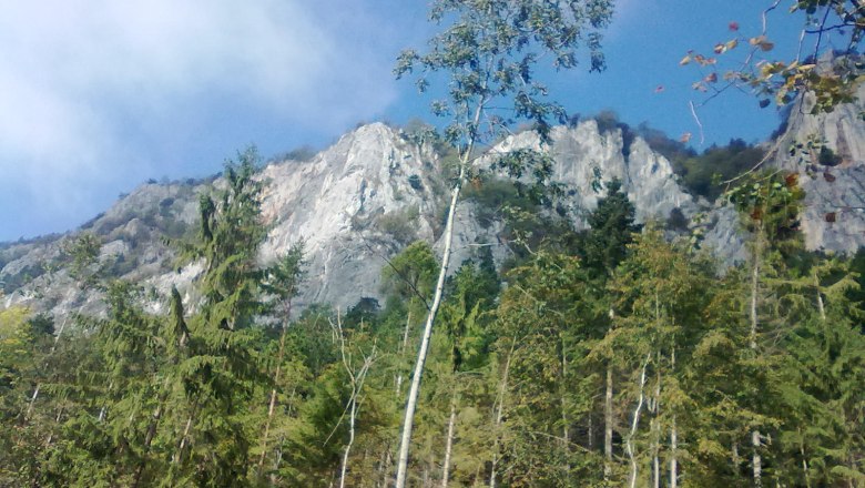 die Hohe Wand, © Reep