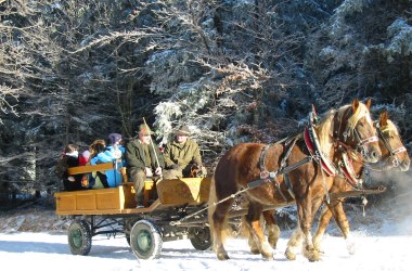 Pferdekutsche, © Naturpark Hohe Wand 